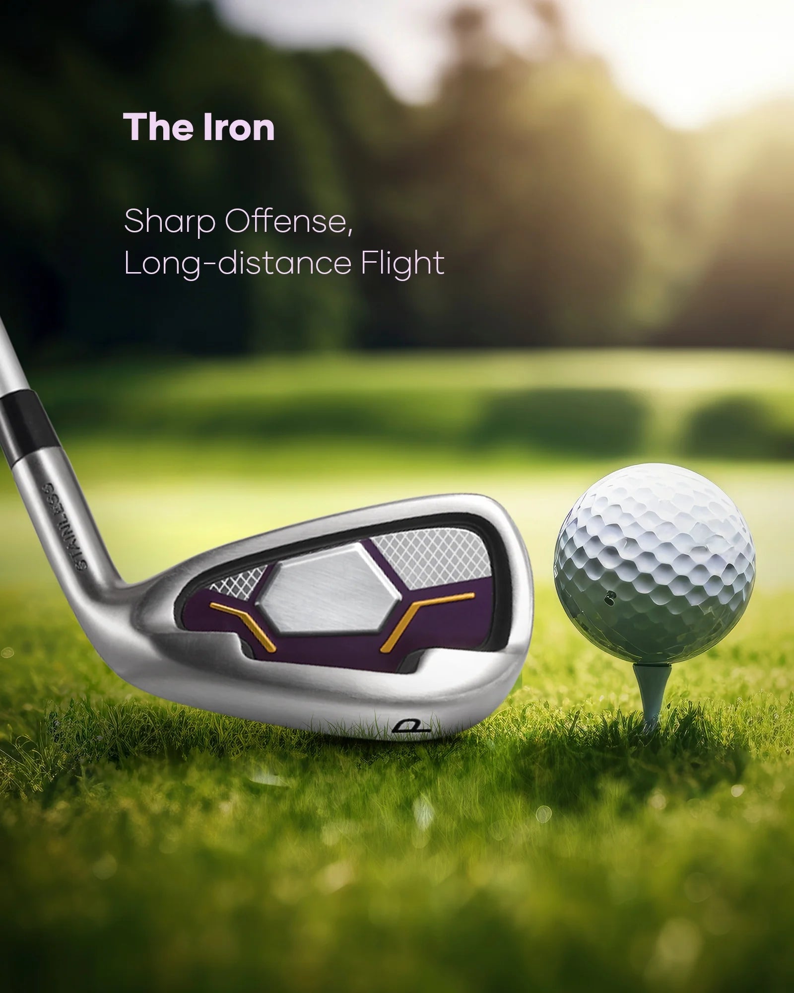 Comprehensive Golf Club Set: 8 Clubs for Men and Women with Right-Handed True Temper Steel Shafts, Putter, Stand Bag, and Bonus 3-Hybrid Head
